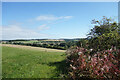 The Shalbourne Valley