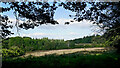 Farmland and woodland near Upper Arley in Worcestershire