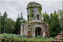 N5307 : Emo Court Folly Tower, Emo Court Demesne, Co. Laois by Mike Searle