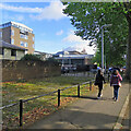 Building work on the Sidgwick Site