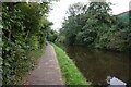 Stourbridge Canal towards Farmer