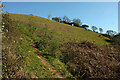 SX8155 : Hillside above Coomery by Derek Harper