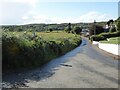 Country lane at St Lawrence