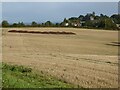 ST4793 : Stubble field at Shirenewton by Philip Halling