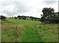 NZ0748 : Path across the field by Robert Graham