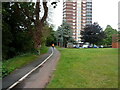 Runner on a riverside path