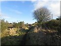 Path to Burnturk Muir