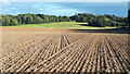 Late afternoon light on fields north of Manor Farm