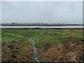 The River Nith at Kelton