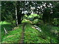 Path approaching Wessenden Head Road, Meltham