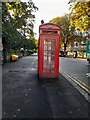 Phone box on Cazenove Road, Stamford Hill