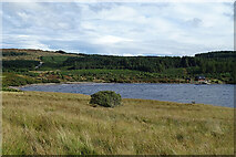 NR7854 : East End of Loch Ciaran by Anne Burgess
