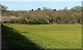 Playing field, Dartington