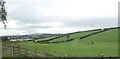 Drumlin at the northern end of Derrylackagh Lake