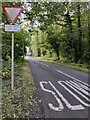 Low Habberley Lane at Trimpley