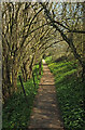 Path to Dartington