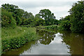 Trent and Mersey Canal near Handsacre in Staffordshire