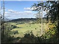 View over Standish Park