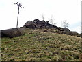 Rocky outcrop near Hen Cloud Cottage