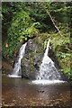 NH7258 : Waterfall in Fairy Glen Rosemarkie by Jennifer Petrie