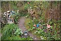 Fairy Houses in the Fairy Glen Rosemarkie