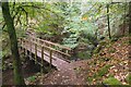 NH7258 : A Bridge in the Fairy Glen Rosemarkie by Jennifer Petrie