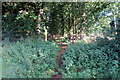 Permissive path alongside the road to Old Warden