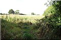 Barlestone Farmland