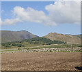 J2720 : View due West from Island Road towards the wooded slope of Slievemageogh by Eric Jones