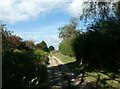 Peddars Way just north of Van heading towards Roudham Heath Gas Station