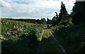 Motorcyclist heading southwards on the Peddars Way