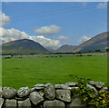 View across improved pasture towards the Silent Valley trough