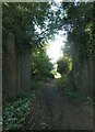 Former railway bridge on the Peddars Way