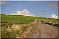 The Road to the Wind Farm