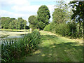 Pond bay, top pond for Fen Place Mill