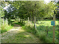 Footpath towards Fen Place Mill