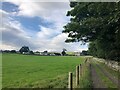 NY9028 : View from track southeast of Bowlees by Philip Cornwall