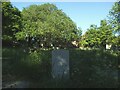 War grave in old St Matthew