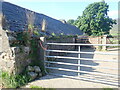 Yard of abandoned farmstead converted into a sheep pen