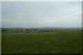 Fields near Burtree House