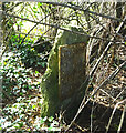 Old Milestone, A417