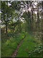 SJ8065 : Restricted byway at Eastern margin of Brereton Heath Nature Reserve by Philip Cornwall
