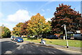 SE2134 : Autumn Trees Outside Pudsey Civic Hall by David Goodall