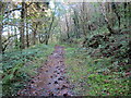 Llwybr ceffyl i Gwmgwrach / Bridleway to Cwmgwrach