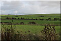 Farmland at Auchenmalg