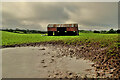 A muddy field, Tonnagh Beg