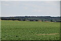 Farmland, Chapel Bank Farm