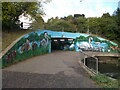 TF1703 : Murals on the Werrington underpass at Cuckoo's Hollow by Paul Bryan