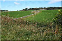 SK1267 : Farmland near Pomeroy by Bill Boaden