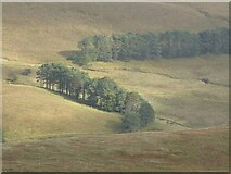 SO0219 : Trees beside a dried up reservoir by Philip Halling